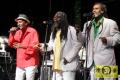 The Mighty Tamlins (Jam) with Lloyd Parks We The People Band 19. Reggae Jam Festival - Bersenbrueck 03. August 2013 (18).JPG